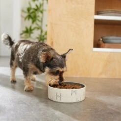 STAR WARS TIE FIGHTER Non-Skid Ceramic Dog & Cat Bowl 8 STAR WARS TIE FIGHTER Non-Skid Ceramic Dog & Cat Bowl -PetSafe Kong Shop 280648 PT2. AC SS1800 V1629987003