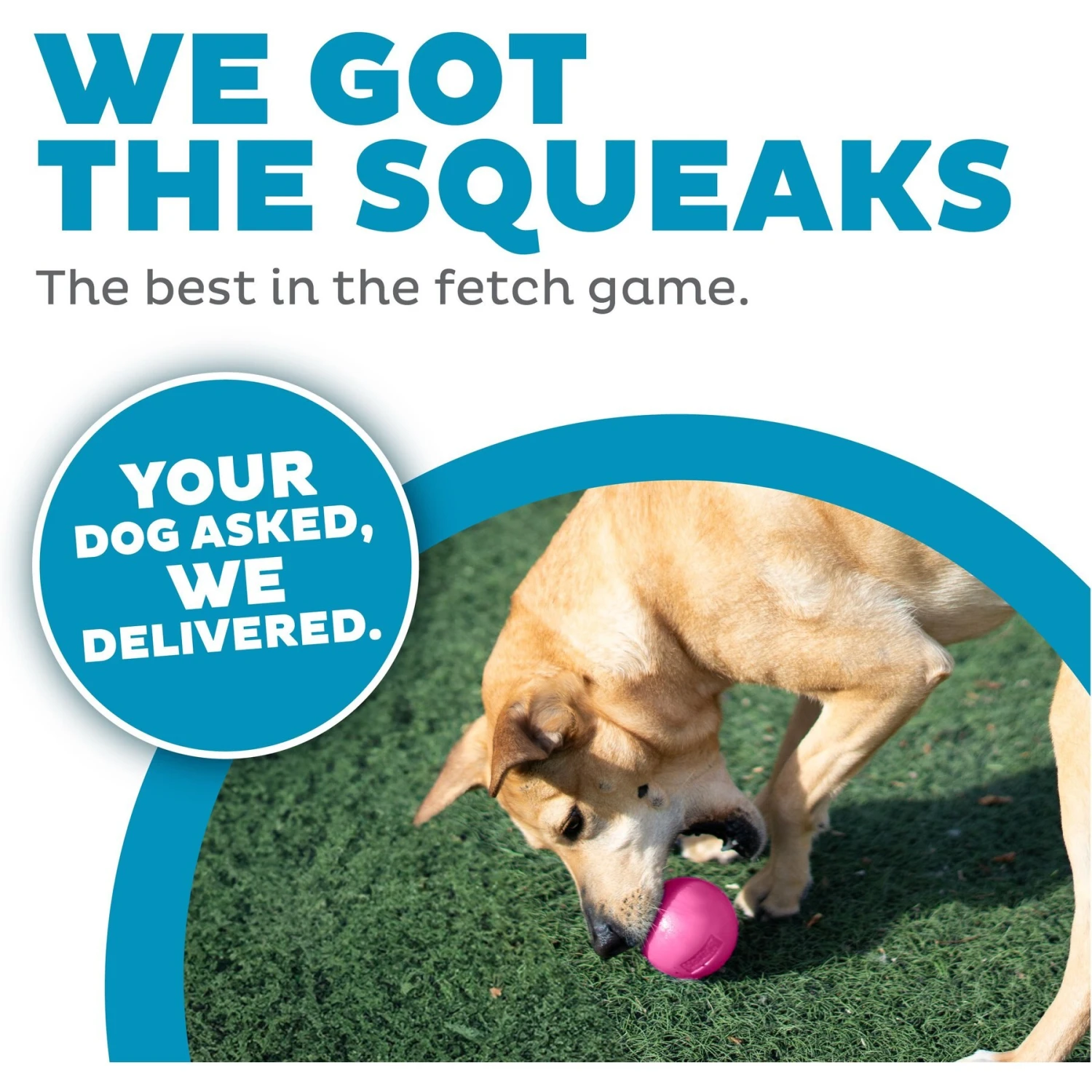 Planet Dog Squeak Ball Dog Toy 2 Planet Dog Squeak Ball Dog Toy - Image 2