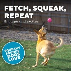 Planet Dog Squeak Ball Dog Toy 10 Planet Dog Squeak Ball Dog Toy -PetSafe Kong Shop 281722 PT3. AC SS1800 V1646780277