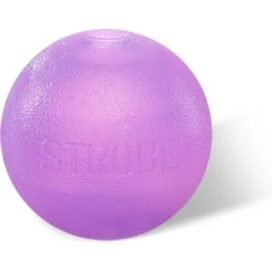 Planet Dog Orbee-Tuff Strobe Ball Light Up LED Dog Toy