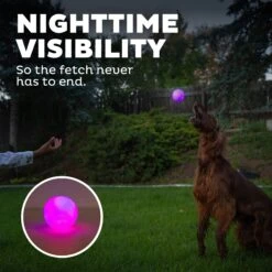 Planet Dog Orbee-Tuff Strobe Ball Light Up LED Dog Toy -PetSafe Kong Shop 281727 PT4. AC SS1800 V1646789609
