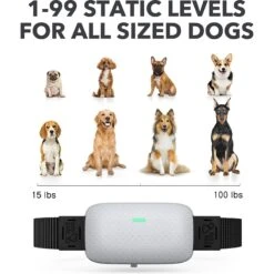 DogCare EC11 Dog Training System -PetSafe Kong Shop 282777 PT2. AC SS1800 V1618010505