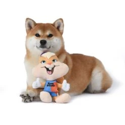 Fetch For Pets Looney Tunes Space Jam 2 Lola Jersey Plush Figure Dog Toy -PetSafe Kong Shop 283159 PT2. AC SS1800 V1616793700
