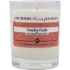 Southern Therapy Candles Peachy Pooch Odor Eliminator Candle