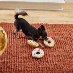 Frisco Fall Maple Bacon Donuts Plush Squeaky Dog Toy, 3 Count -PetSafe Kong Shop 285613 PT3. AC SS1800 V1629725241