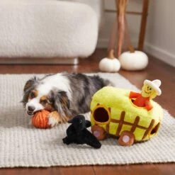 Frisco Fall Hay Wagon Hide & Seek Puzzle Plush Squeaky Dog Toy 7 Frisco Fall Hay Wagon Hide & Seek Puzzle Plush Squeaky Dog Toy -PetSafe Kong Shop 285631 PT3. AC SS1800 V1629724940