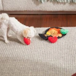 Frisco Fall Autumn Tree With Apples Interactive Plush Squeaky Dog Toy, 4 Count 5 Frisco Fall Autumn Tree With Apples Interactive Plush Squeaky Dog Toy, 4 Count -PetSafe Kong Shop 285633 PT3. AC SS1800 V1629725360