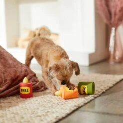 Frisco Fall Candles Latex Squeaky Dog Toy -PetSafe Kong Shop 285661 PT3. AC SS1800 V1629725182