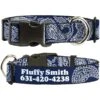 Buckle-Down Polyester Personalized Dog Collar, Paisley Blue & White