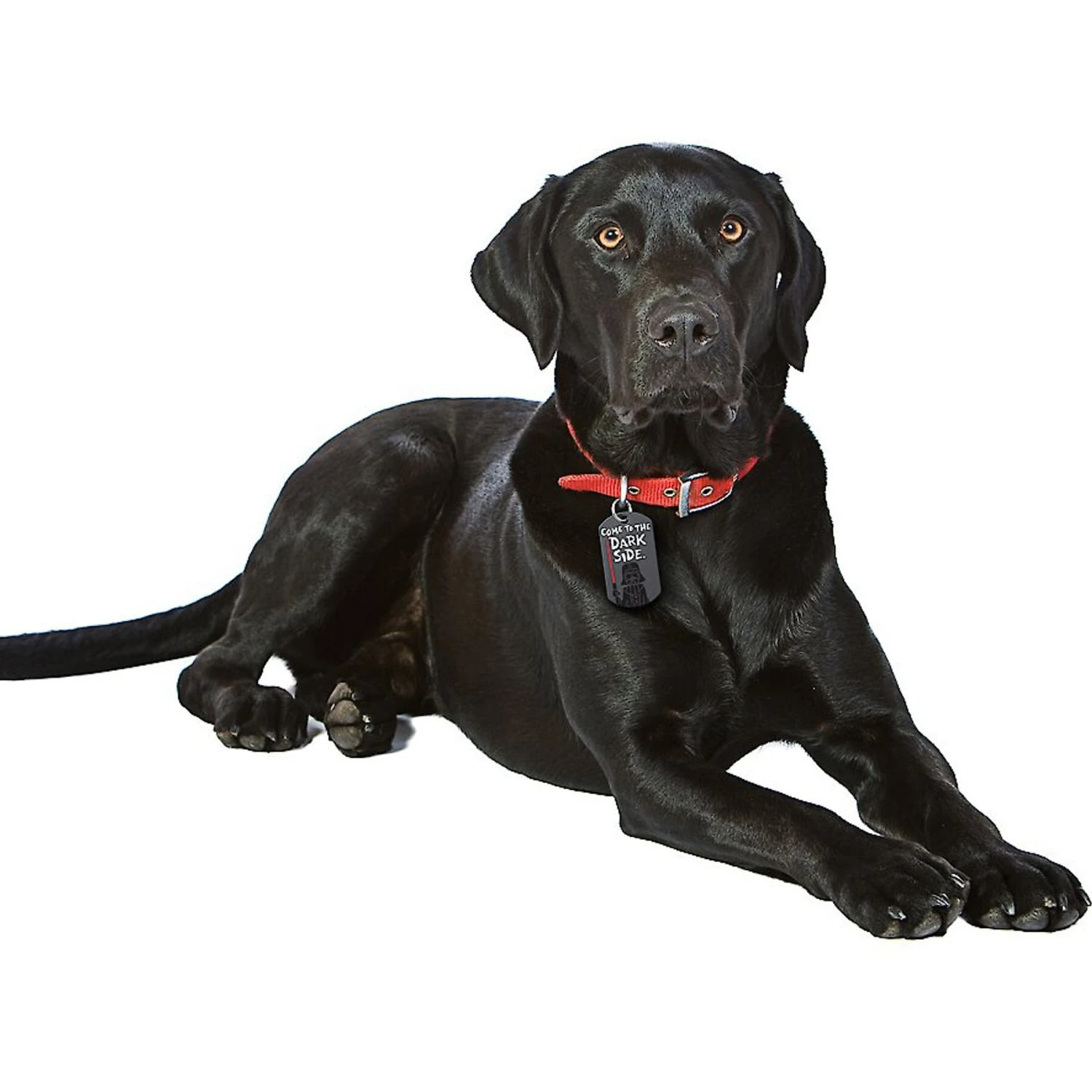 Quick-Tag Star Wars Darth Vader Dark Side Military Personalized Dog & Cat ID Tag 4 Quick-Tag Star Wars Darth Vader Dark Side Military Personalized Dog & Cat ID Tag - Image 4