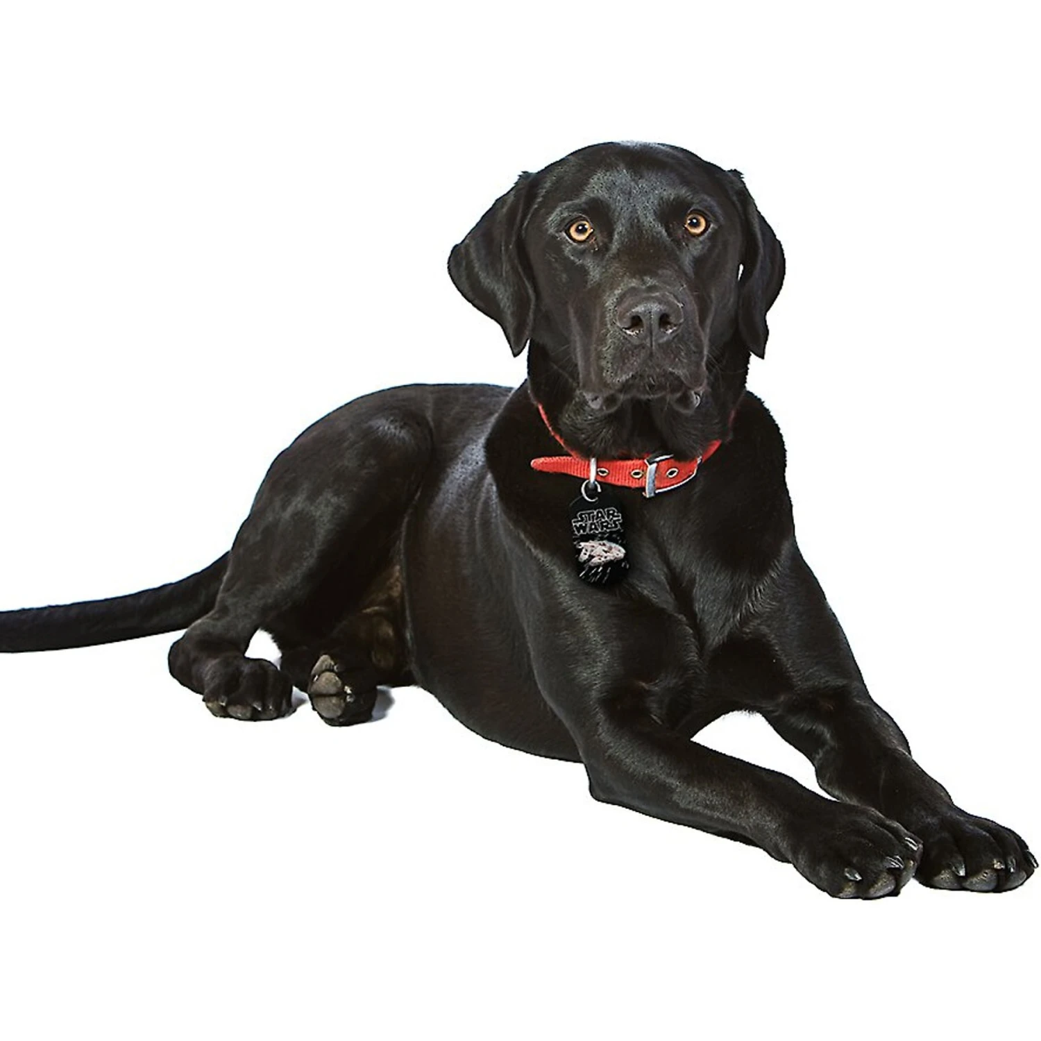 Quick-Tag Star Wars Millenium Falcon Military Personalized Dog & Cat ID Tag 4 Quick-Tag Star Wars Millenium Falcon Military Personalized Dog & Cat ID Tag - Image 4