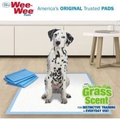 Four Paws Wee-Wee Ultimate Attractant Dog Pee Pads With Grass Scent 11 Four Paws Wee-Wee Ultimate Attractant Dog Pee Pads With Grass Scent -PetSafe Kong Shop 286422 PT3. AC SS1800 V1619836335