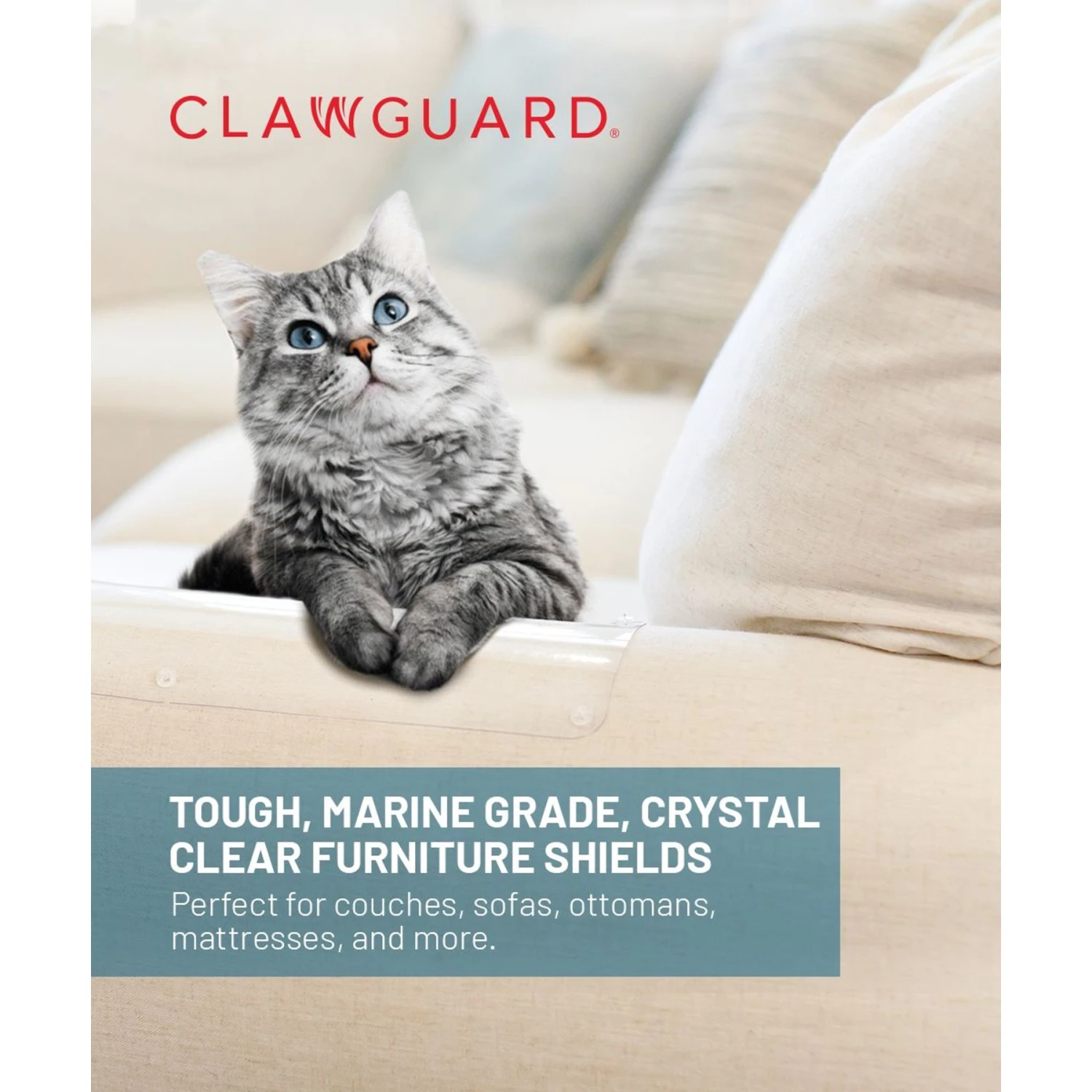 CLAWGUARD Furniture Scratch Shields, 2 Count 1 CLAWGUARD Furniture Scratch Shields, 2 Count