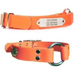 GoTags Personalized Sporting Dog Collar -PetSafe Kong Shop 286960 PT3. AC SS1800 V1618432330