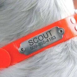 GoTags Personalized Sporting Dog Collar -PetSafe Kong Shop 286960 PT4. AC SS1800 V1629324072