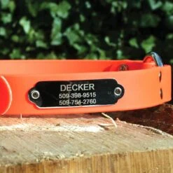 GoTags Personalized Sporting Dog Collar -PetSafe Kong Shop 286960 PT5. AC SS1800 V1629326485