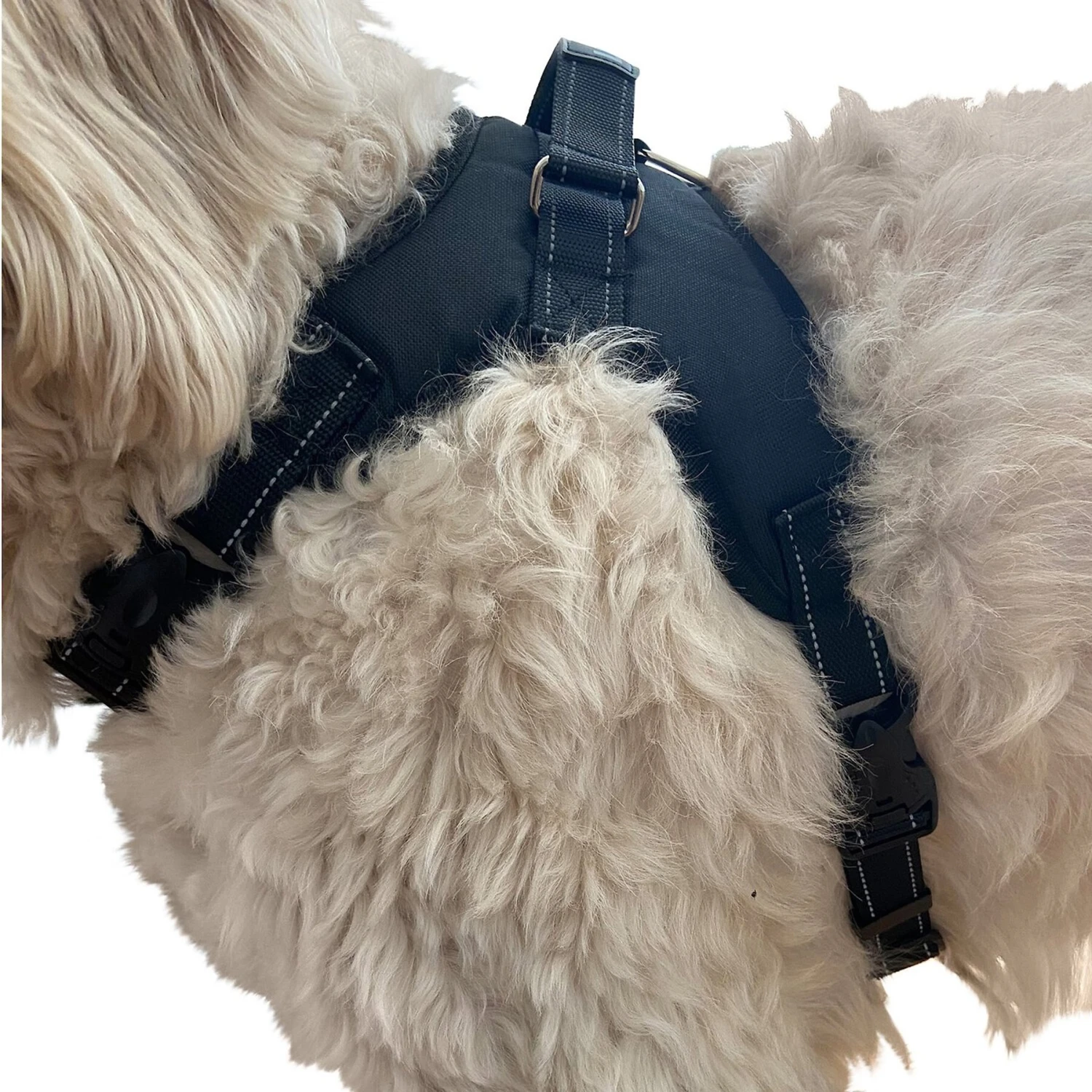 Labra Dog Chest Harness 1 Labra Dog Chest Harness