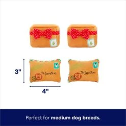 Frisco Holiday North Pole Mailbox Hide & Seek Puzzle Plush Squeaky Dog Toy -PetSafe Kong Shop 287095 PT2. AC SS1800 V1695043914