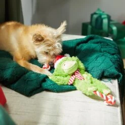 Frisco Holiday Monkey Plush With Rope Squeaky Dog Toy -PetSafe Kong Shop 287115 PT3. AC SS1800 V1632774182