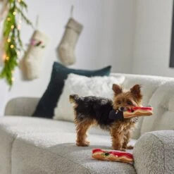 Frisco Holiday Bacon Plush Squeaky Dog Toy, 2 Count -PetSafe Kong Shop 287143 PT3. AC SS1800 V1632774888