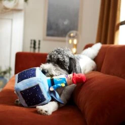 Frisco Nutcracker-in-a-Box Plush Squeaky Dog Toy -PetSafe Kong Shop 287173 PT3. AC SS1800 V1632773316