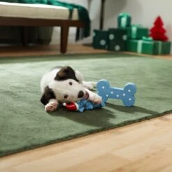 Frisco Blue Bundle Latex Squeaky Puppy Toy, 2 Count -PetSafe Kong Shop 287185 PT3. AC SS1800 V1632775643