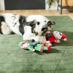 Frisco Holiday Bad Santa & Elf Plush Squeaky Dog Toy 5 Frisco Holiday Bad Santa & Elf Plush Squeaky Dog Toy -PetSafe Kong Shop 287223 PT3. AC SS1800 V1632773570
