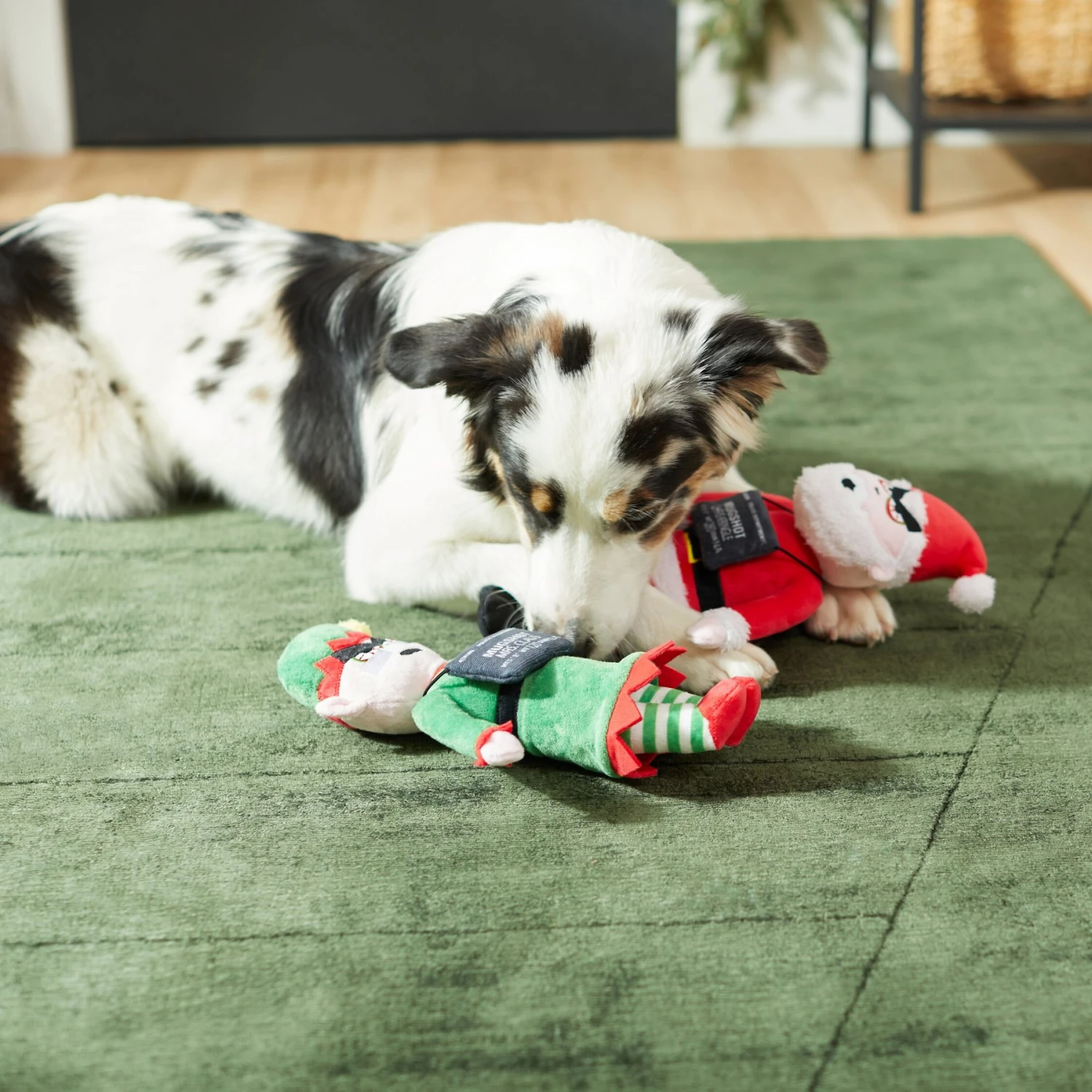 Frisco Holiday Bad Santa & Elf Plush Squeaky Dog Toy 3 Frisco Holiday Bad Santa & Elf Plush Squeaky Dog Toy - Image 3