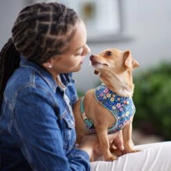 Frisco Fashion Over-The-Head Harness, Tropical Floral -PetSafe Kong Shop 287476 PT8. AC SS1800 V1632316953