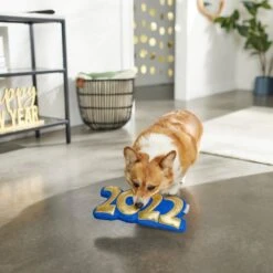 Frisco New Year's Eve 2022 Plush Squeaky Dog Toy -PetSafe Kong Shop 288476 PT3. AC SS1800 V1638287927