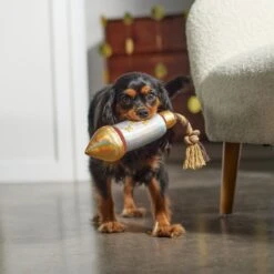 Frisco Firework Plush With Rope Squeaky Dog Toy -PetSafe Kong Shop 288480 PT3. AC SS1800 V1638291301