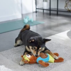 Frisco Fitness Bear Reversible Plush Squeaky Dog Toy -PetSafe Kong Shop 288897 PT3. AC SS1800 V1638291713