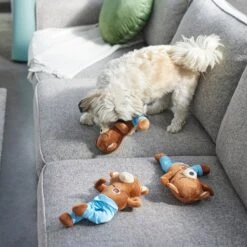 Frisco New Year, New Me Namaste Bear Plush Squeaky Dog Toy -PetSafe Kong Shop 288905 PT3. AC SS1800 V1638291398