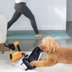 Frisco Treadmill & Bike Plush Squeaky Dog Toy, 2 Count -PetSafe Kong Shop 288921 PT3. AC SS1800 V1638290517