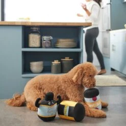 Frisco New Year, New Me Protein Powder Plush Squeaky Dog Toy -PetSafe Kong Shop 288925 PT3. AC SS1800 V1638289658