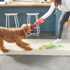 Frisco New Year, New Me Juice Cleanse Plush Squeaky Dog Toy -PetSafe Kong Shop 288929 PT3. AC SS1800 V1638289348