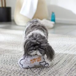 Frisco Message Bubble Plush Squeaky Dog Toy -PetSafe Kong Shop 288941 PT3. AC SS1800 V1638289328