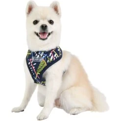 Puppia Botanical A Dog Harness -PetSafe Kong Shop 289070 PT2. AC SS1800 V1619106153