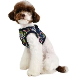 Puppia Botanical B Dog Harness -PetSafe Kong Shop 289079 PT3. AC SS1800 V1619108839
