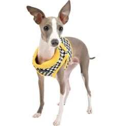 Puppia Racer B Dog Harness 8 Puppia Racer B Dog Harness -PetSafe Kong Shop 289141 PT3. AC SS1800 V1619107013