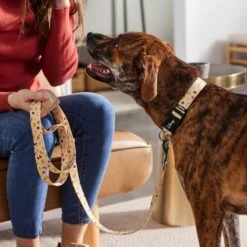 Disney Princess Belle Dog Leash 11 Disney Princess Belle Dog Leash -PetSafe Kong Shop 289385 PT8. AC SS1800 V1634305148