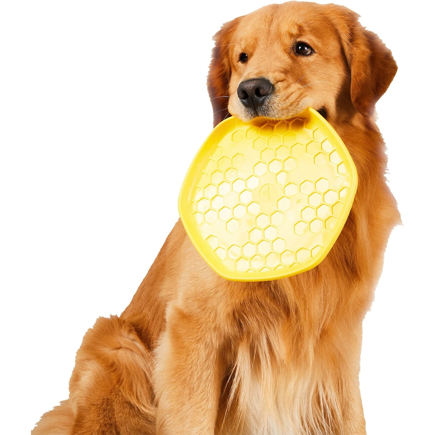 Project Hive Pet Company Frisbee Dog Toy 2 Project Hive Pet Company Frisbee Dog Toy - Image 2