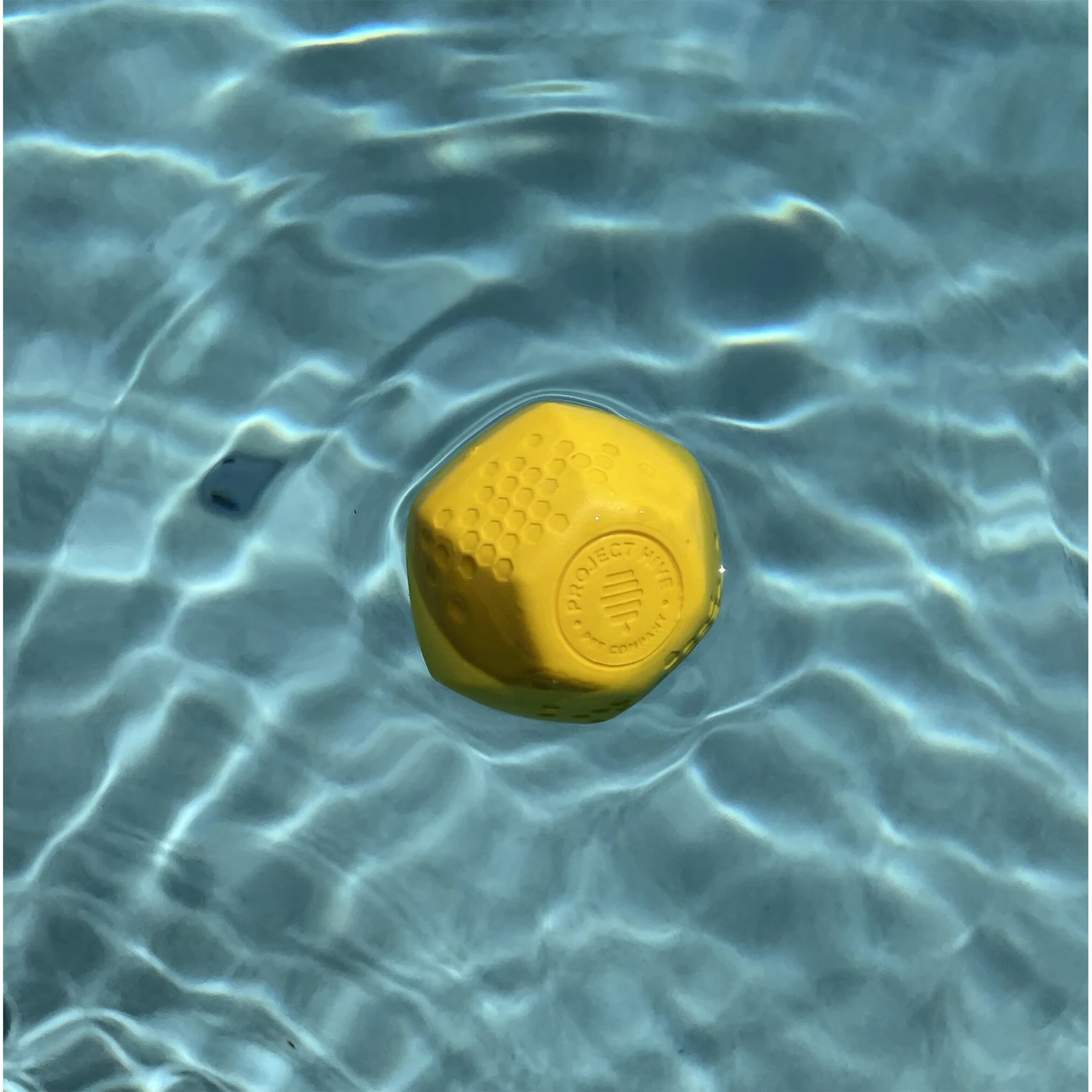 Project Hive Pet Company Ball Dog Toy 3 Project Hive Pet Company Ball Dog Toy - Image 3