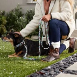 STAR WARS THE MANDALORIAN GROGU Holiday Dog Leash 9 STAR WARS THE MANDALORIAN GROGU Holiday Dog Leash -PetSafe Kong Shop 289838 PT8. AC SS1800 V1632187762