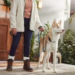 Disney Mickey Mouse Holiday Dog Leash 9 Disney Mickey Mouse Holiday Dog Leash -PetSafe Kong Shop 289840 PT8. AC SS1800 V1632185216