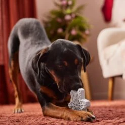 Frisco Holiday Nylon Snowflake Dog Chew Toy, Peanut Butter Flavor, Medium -PetSafe Kong Shop 291387 PT3. AC SS1800 V1629306692