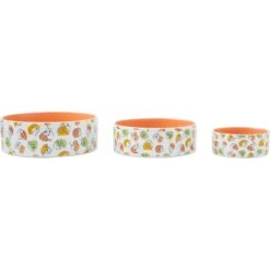 Disney Princesses Non-Skid Ceramic Dog & Cat Bowl -PetSafe Kong Shop 291391 PT5. AC SS1800 V1633978739