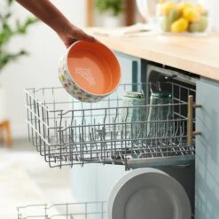 Disney Princesses Non-Skid Ceramic Dog & Cat Bowl -PetSafe Kong Shop 291391 PT6. AC SS1800 V1633978674