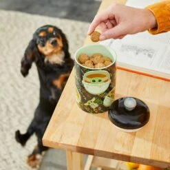 STAR WARS THE MANDALORIAN THE CHILD Aurebesh Ceramic Treat Jar -PetSafe Kong Shop 291410 PT2. AC SS1800 V1633979269