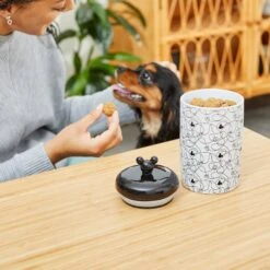 Disney Mickey Lines Ceramic Treat Jar -PetSafe Kong Shop 291412 PT2. AC SS1800 V1633978785